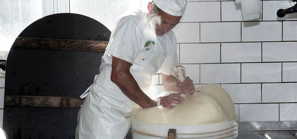 Käse wird in die Rundlaibform gepresst